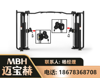 阳泉大飞鸟训练器